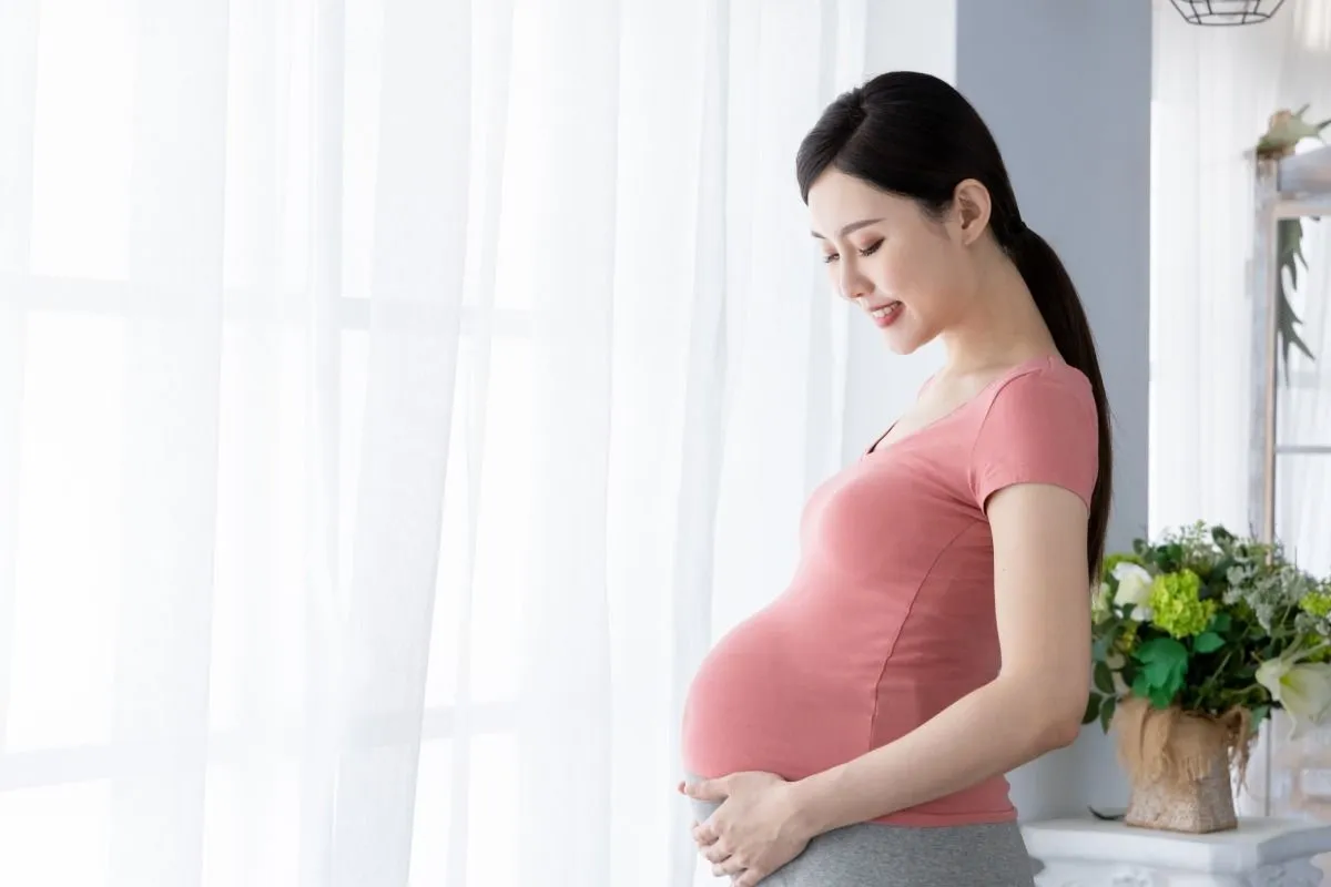 Hình ảnh minh họa quyền lợi của thực tập sinh khi mang thai.jpg