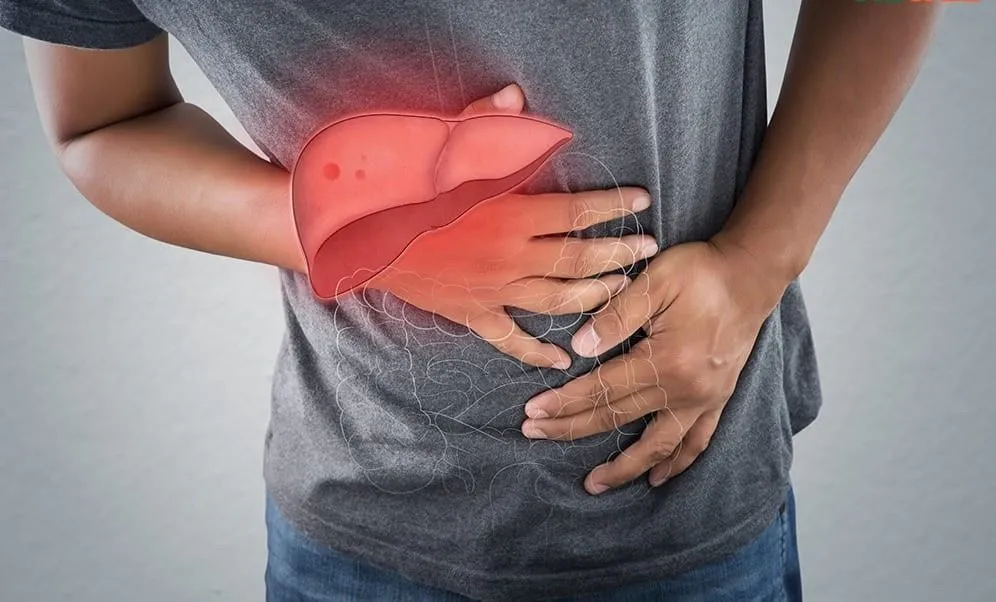 Người bệnh bị gan nhiễm mỡ.jpg