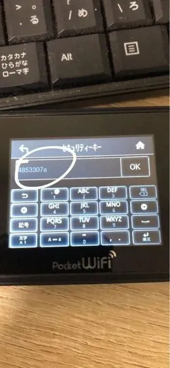 Quick Guide to Changing the Password for the 501 HW Device-3.jpg