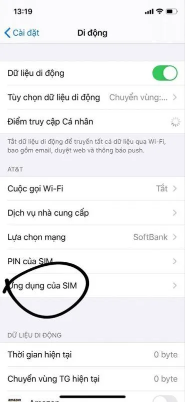 huong-dan-nang-cap-sim-ghep-1.jpg