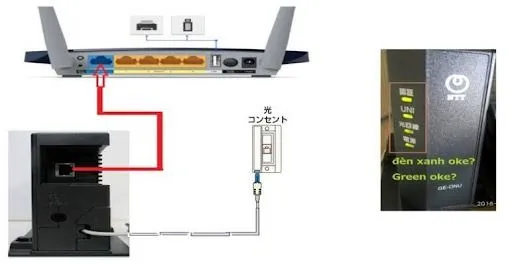 tp-link-1.jpg